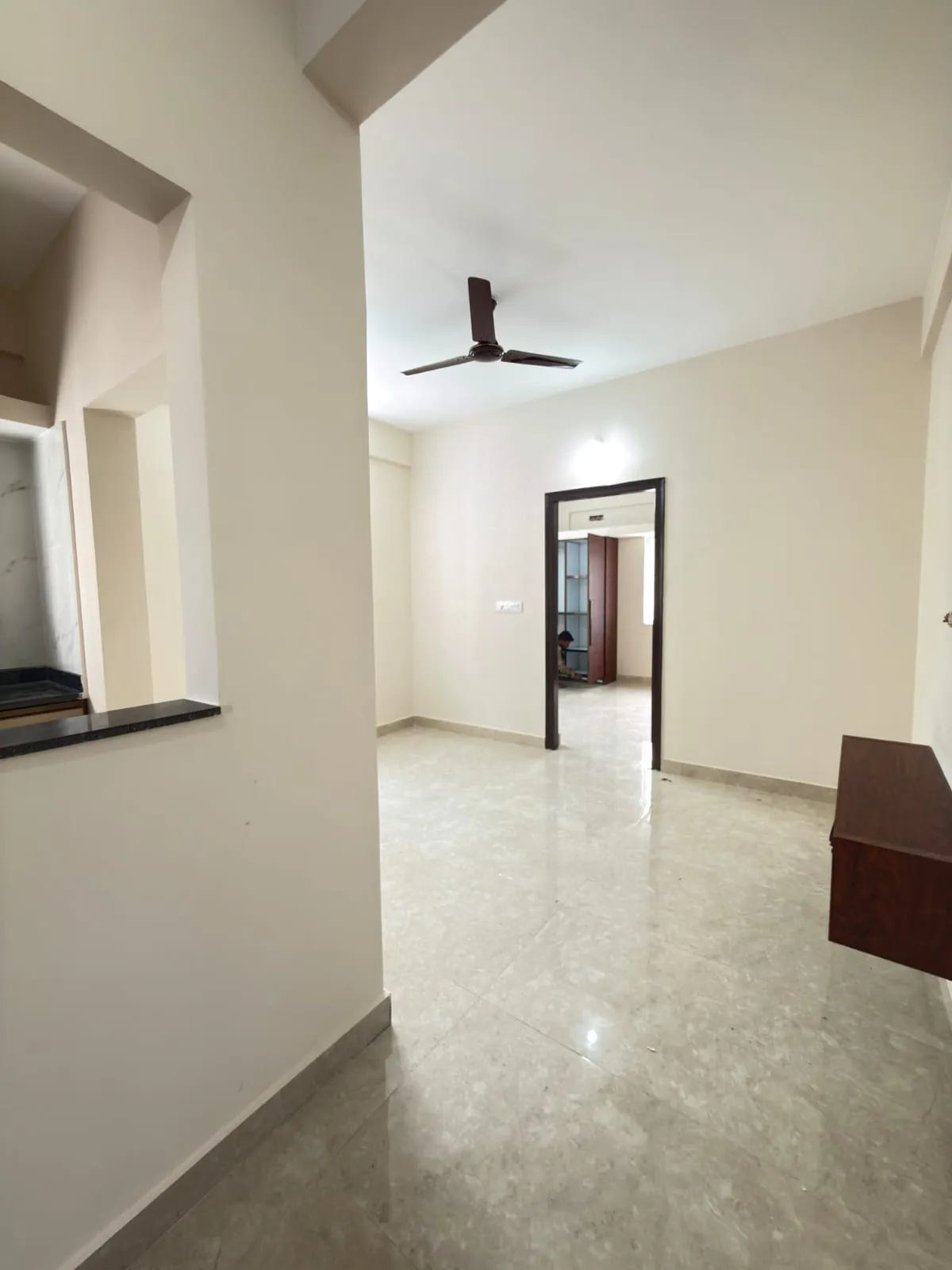 Hall / Living Room